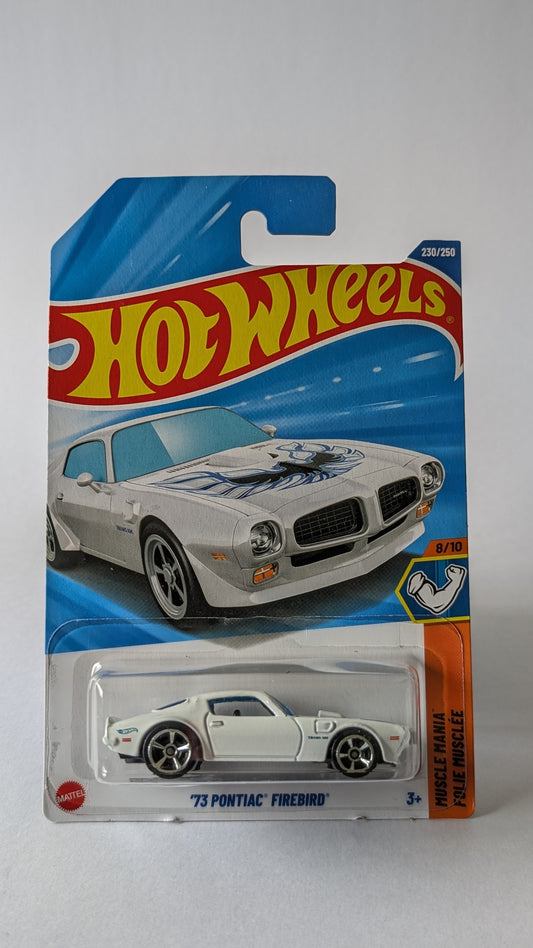 Hot Wheels '73 Pontiac Firebird toy car in packaging on a white background